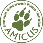 Zbiórka darów na rzecz GSPZ Amicus