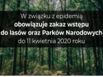Zakaz wstępu do lasów w związku z epidemią koronawirusa